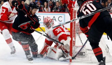 Gostisbehere, Svechnikov post 3-point games as Hurricanes beat Red Wings 5-2, end 3-game skid | National Sports