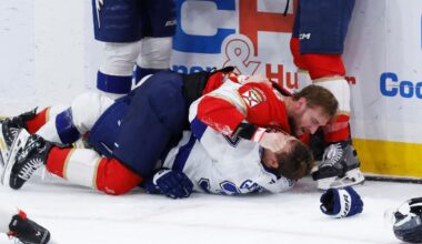 NHL fines Lundell and Sabourin for actions in penalty-heavy Panthers-Lightning game | National Sports