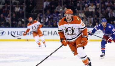 Anaheim Ducks' Ross Johnston fined for roughing Tye Kartye