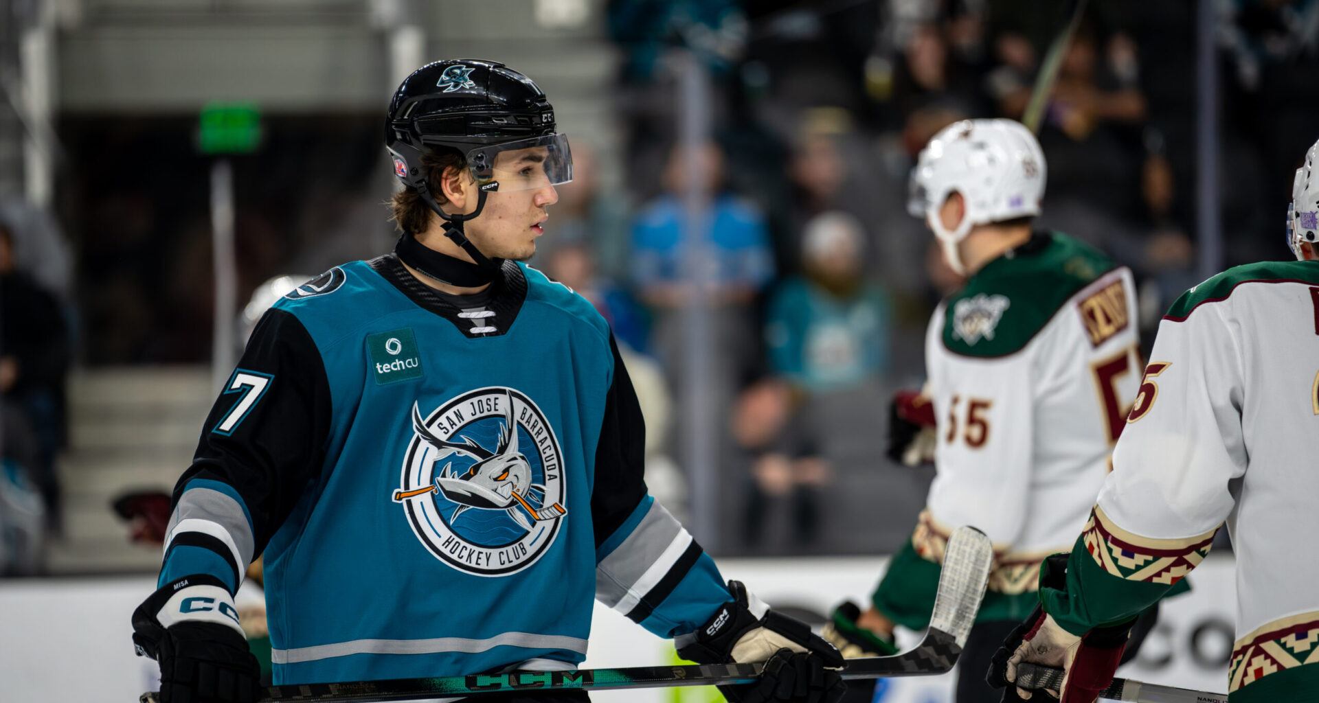 Sharks' Misa Impresses In Injury Return, AHL Debut