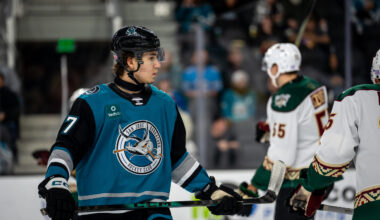 Sharks' Misa Impresses In Injury Return, AHL Debut
