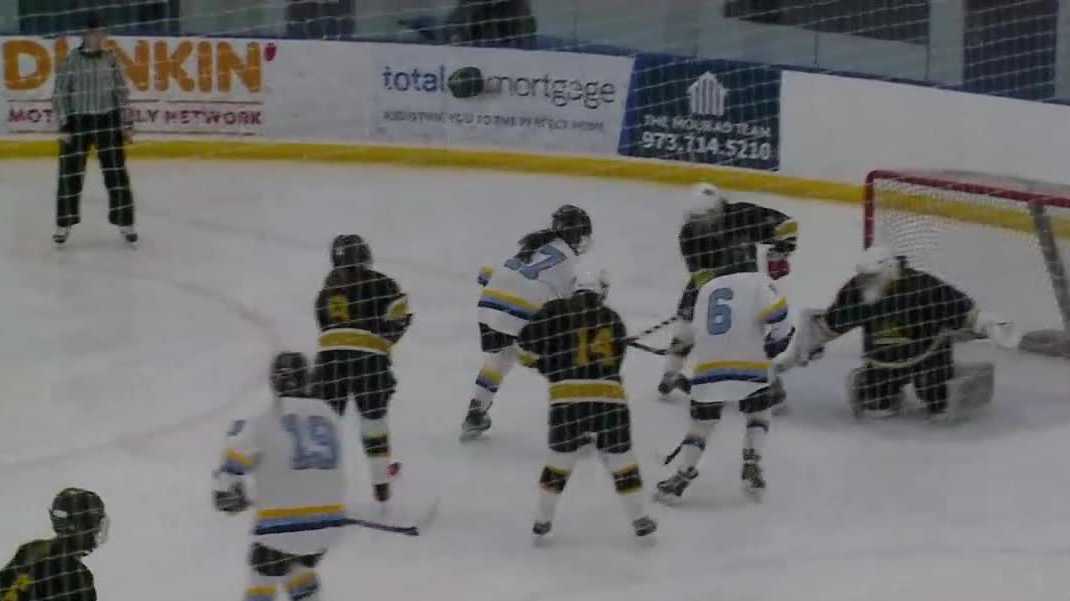 Souhegan-Nashua girls hockey beats Manchester