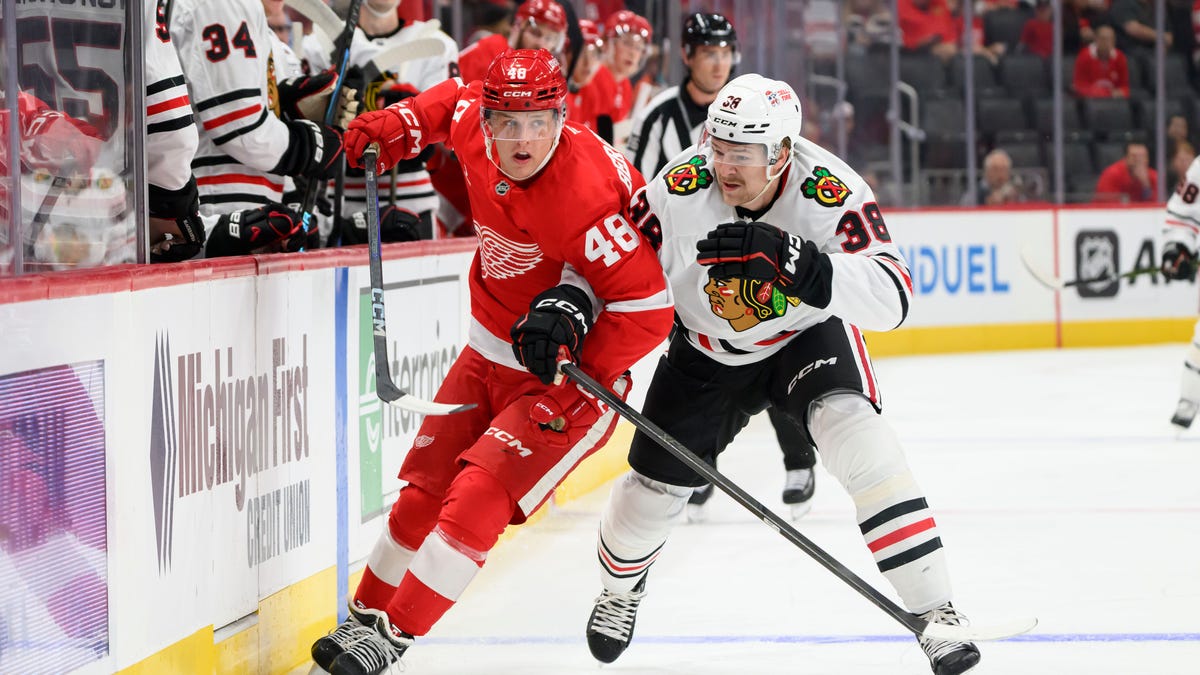 Detroit Red Wings place slumping Jonatan Berggren on waivers