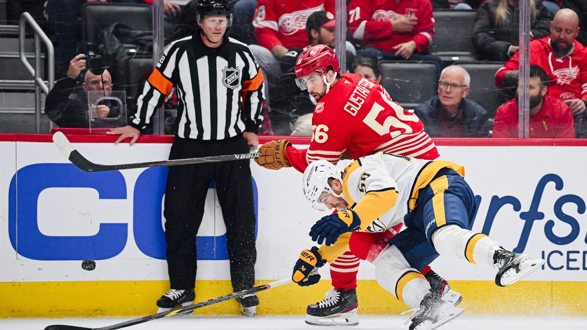 Detroit Red Wings call up Erik Gustafsson under emergency conditions