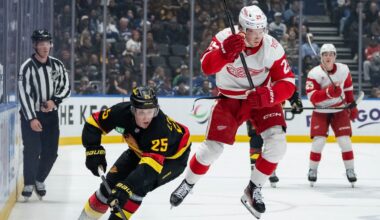 Red Wings' young stars Danielson, Finnie, Sandin-Pellikka fuel successful trip