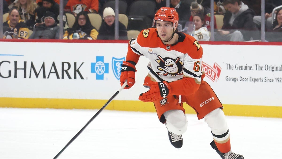 New York Islanders vs. Anaheim Ducks odds, tips and betting trends