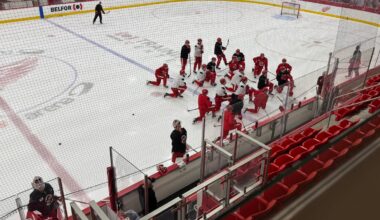 Detroit Red Wings call up John Leonard