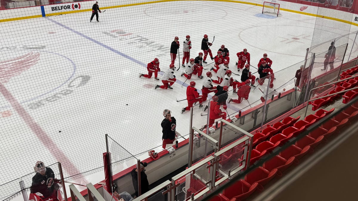 Detroit Red Wings call up John Leonard