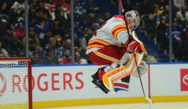 Top 5 young NHL goalies include Flames, Blackhawks, Ducks starters