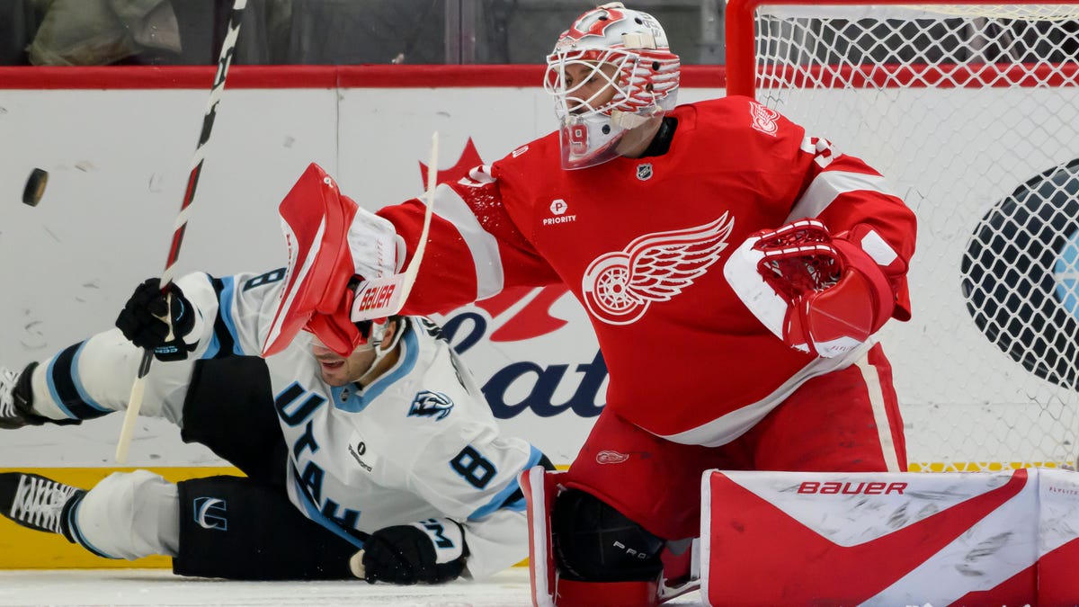 Red Wings' comeback falls short in 4-1 loss to Mammoth