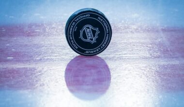 NHL reacts to HBO show success