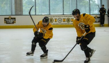 boston-bruins