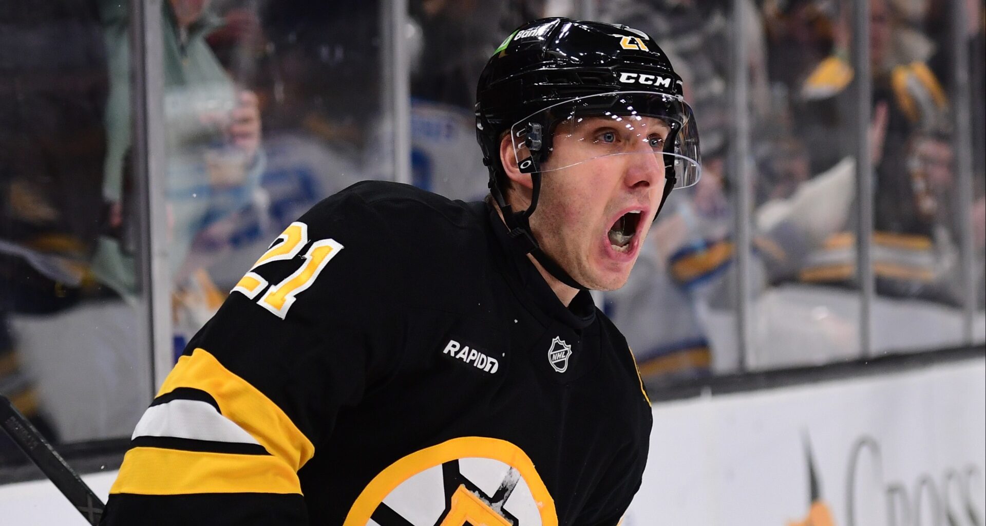 Bruins' Marco Sturm Praises Alex Steeves Amid Hot Streak