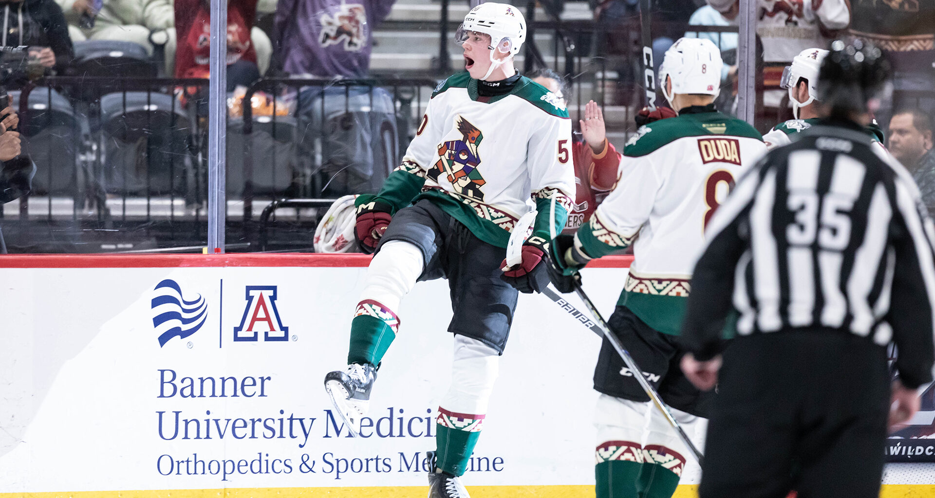 Tucson Roadrunners Hockey