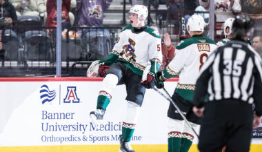 Tucson Roadrunners Hockey
