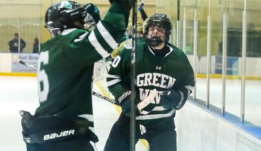 Boys Ice Hockey: Group and conference rankings for Dec. 22