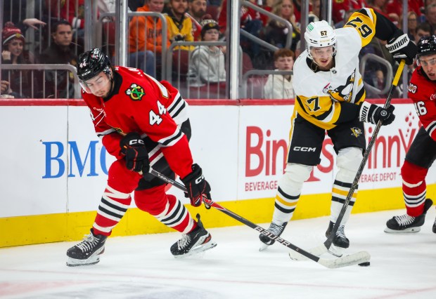 Blackhawks defenseman Wyatt Kaiser (44) tries too grab the puck during the second period against the Pittsburgh Penguins, Dec. 28, 2025, at the United Center. (Dominic Di Palermo/Chicago Tribune)