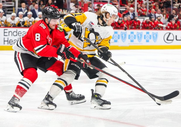 Blackhawks center Ryan Donato (8) and Pittsburgh Penguins right wing Ville Koivunen (41) battle for the puck during the third period, Dec. 28, 2025, at the United Center. (Dominic Di Palermo/Chicago Tribune)