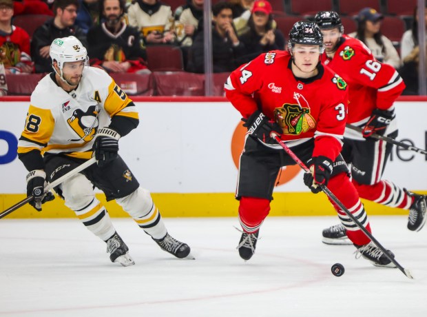 Blackhawks center Colton Dach (34) handles the puck during the third period against the Pittsburgh Penguins, Dec. 28, 2025, at the United Center. (Dominic Di Palermo/Chicago Tribune)