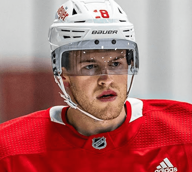 Andrew Copp Red Wings