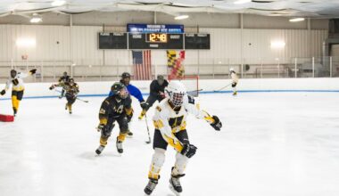 With its ice rink closing, the Banners hockey team could lose more than a home