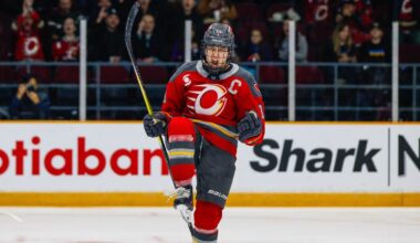 International Break Comes at Much Needed Time for PWHL Coaches