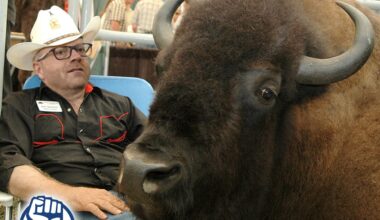 Did the Oilers get their goalie trade right?