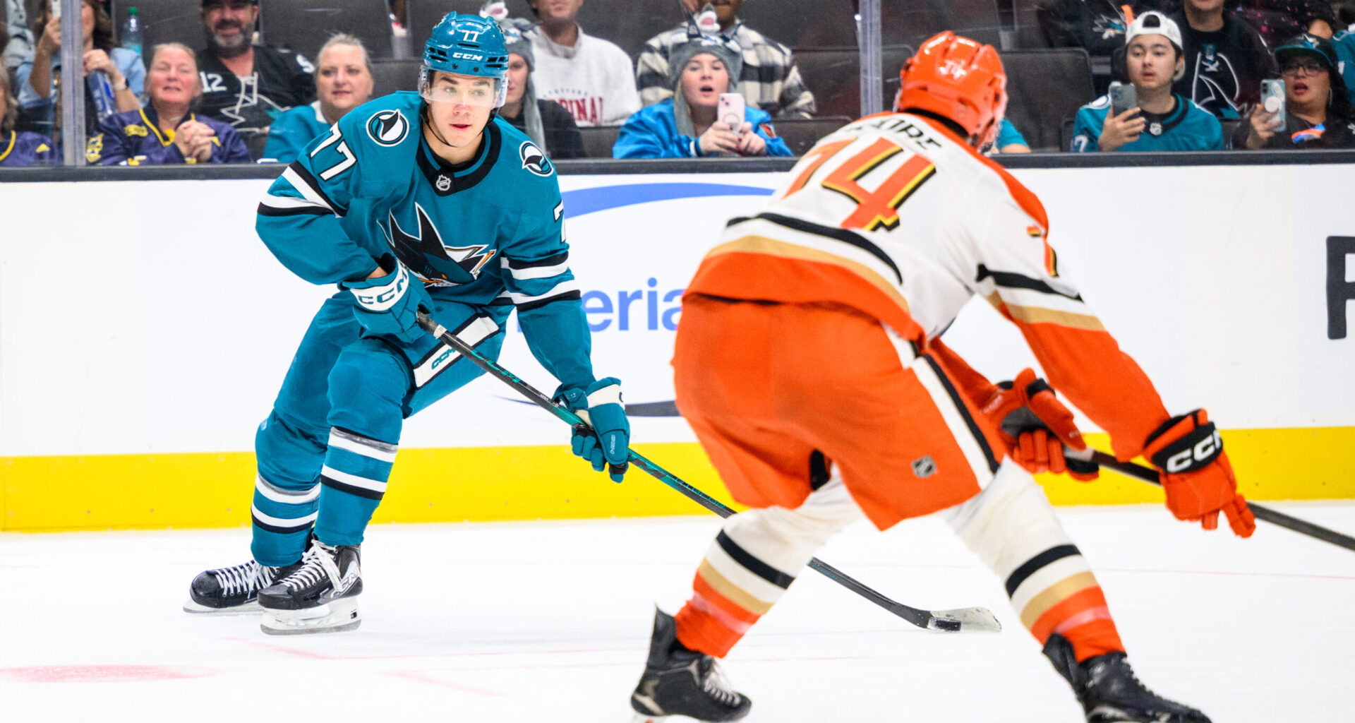 Michael Misa Remains With Sharks, But Why?