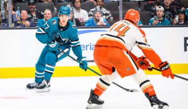 Michael Misa Remains With Sharks, But Why?