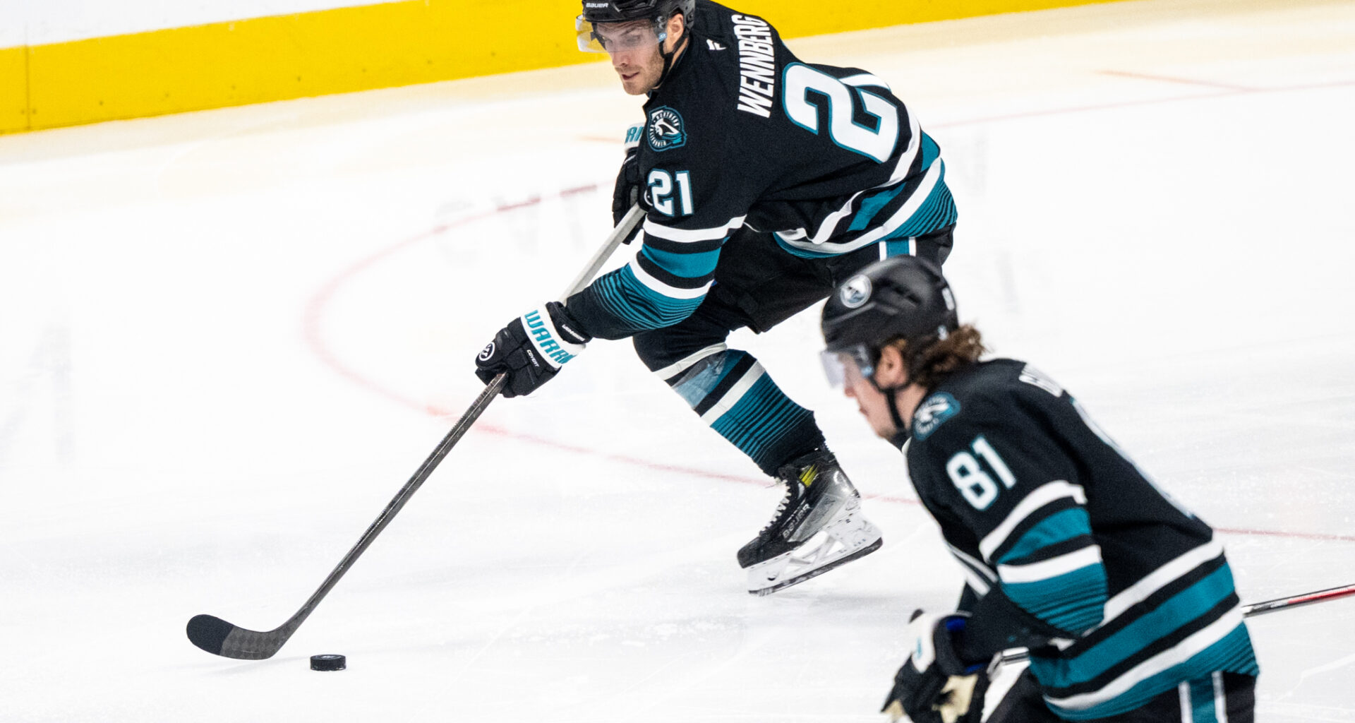 San Jose Sharks forward Alexander Wennberg