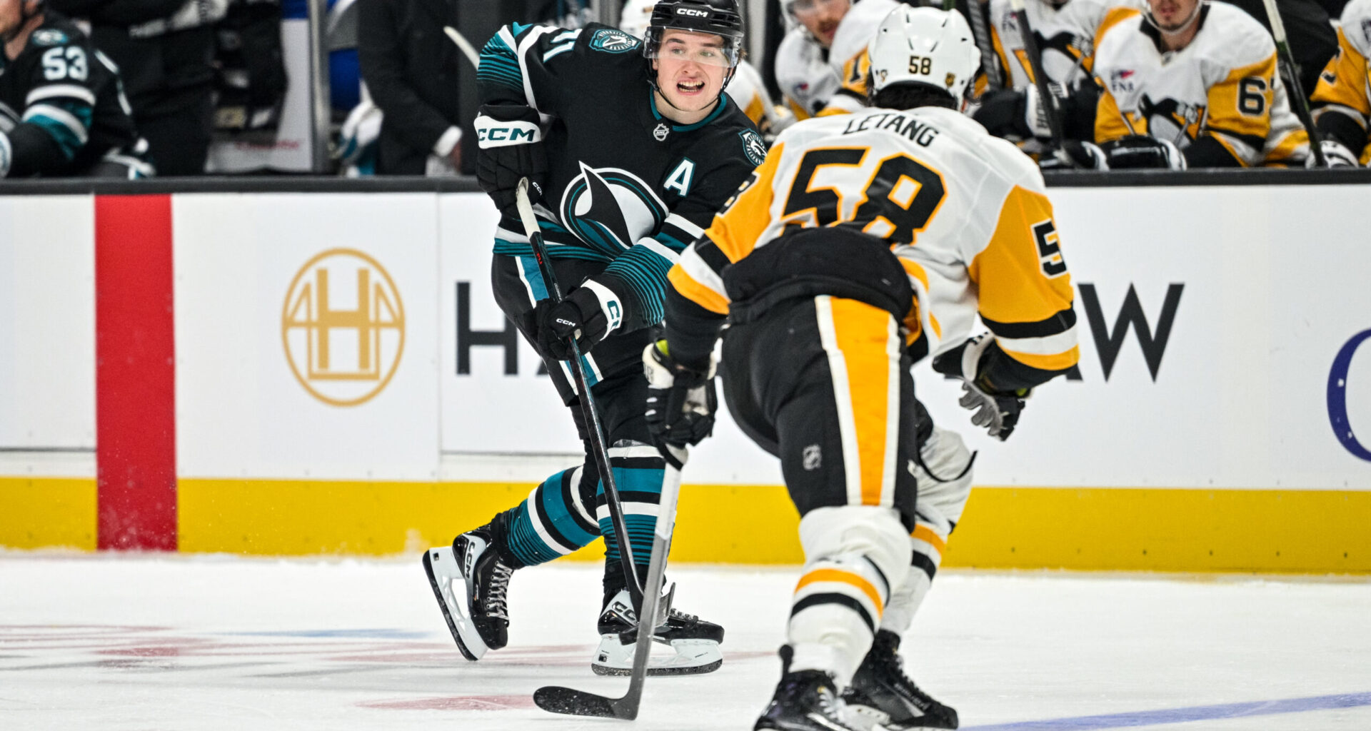 Sharks Create Another Iconic Comeback Behind Klingberg & Celebrini's Magic