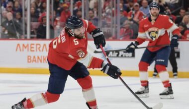 Florida panthers