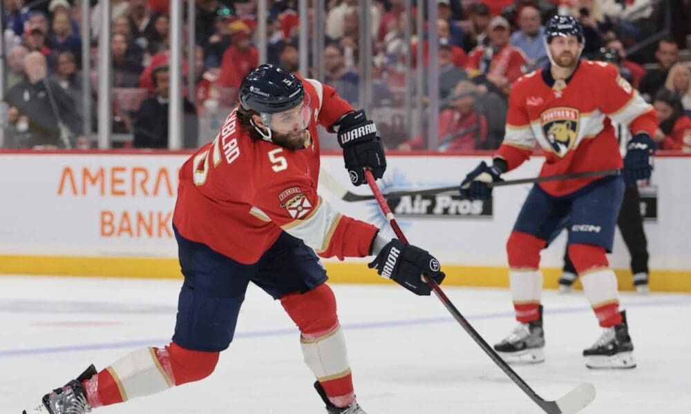 Florida panthers