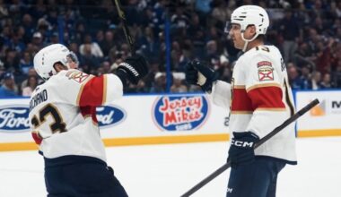 Florida panthers