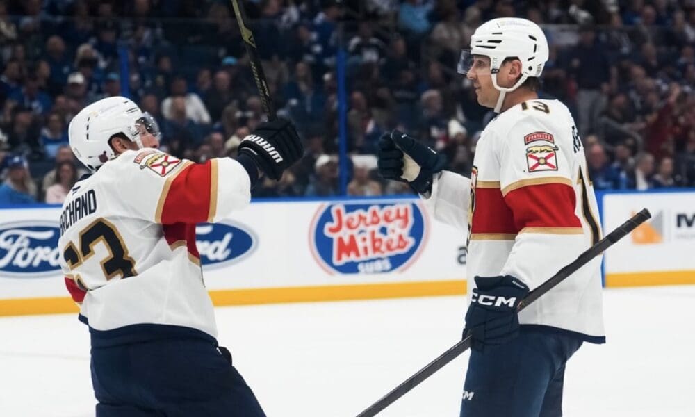 Florida panthers