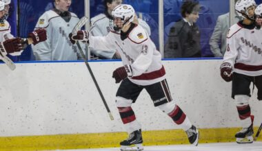 Top boys prep hockey performers from 2025 holiday tournaments