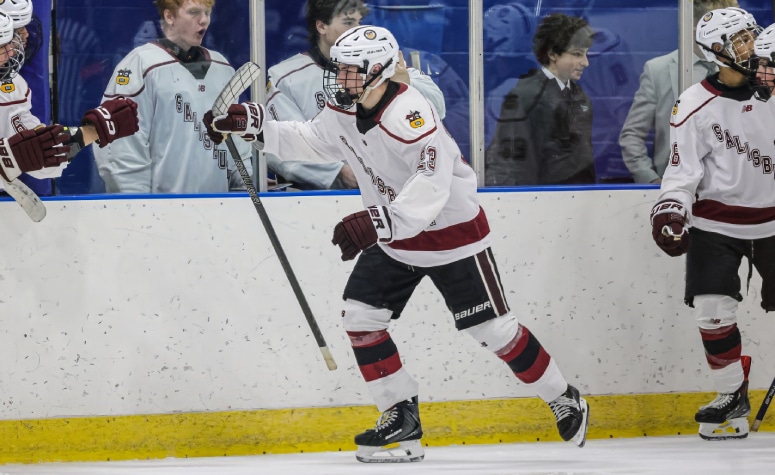 Top boys prep hockey performers from 2025 holiday tournaments