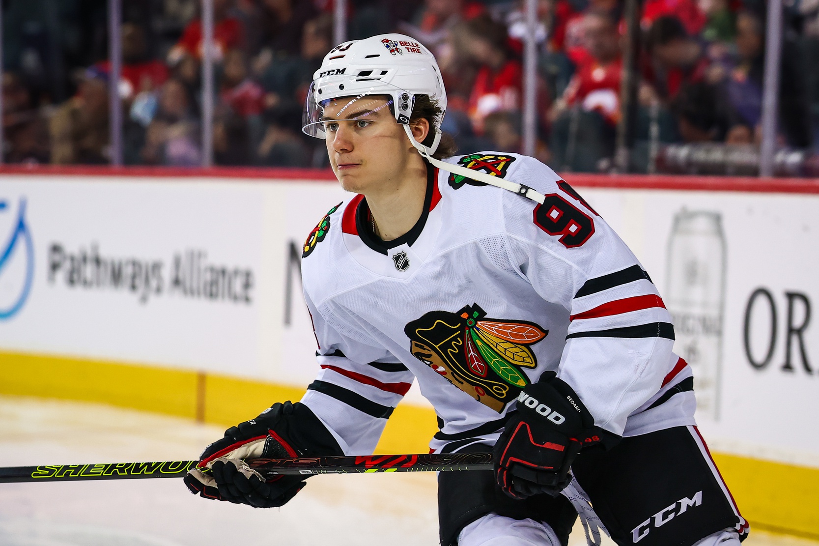 Chicago Blackhawks coach thinks he might have ‘hurt’ Connor Bedard