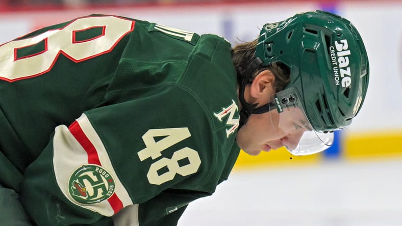 Daemon Hunt, Minnesota Wild