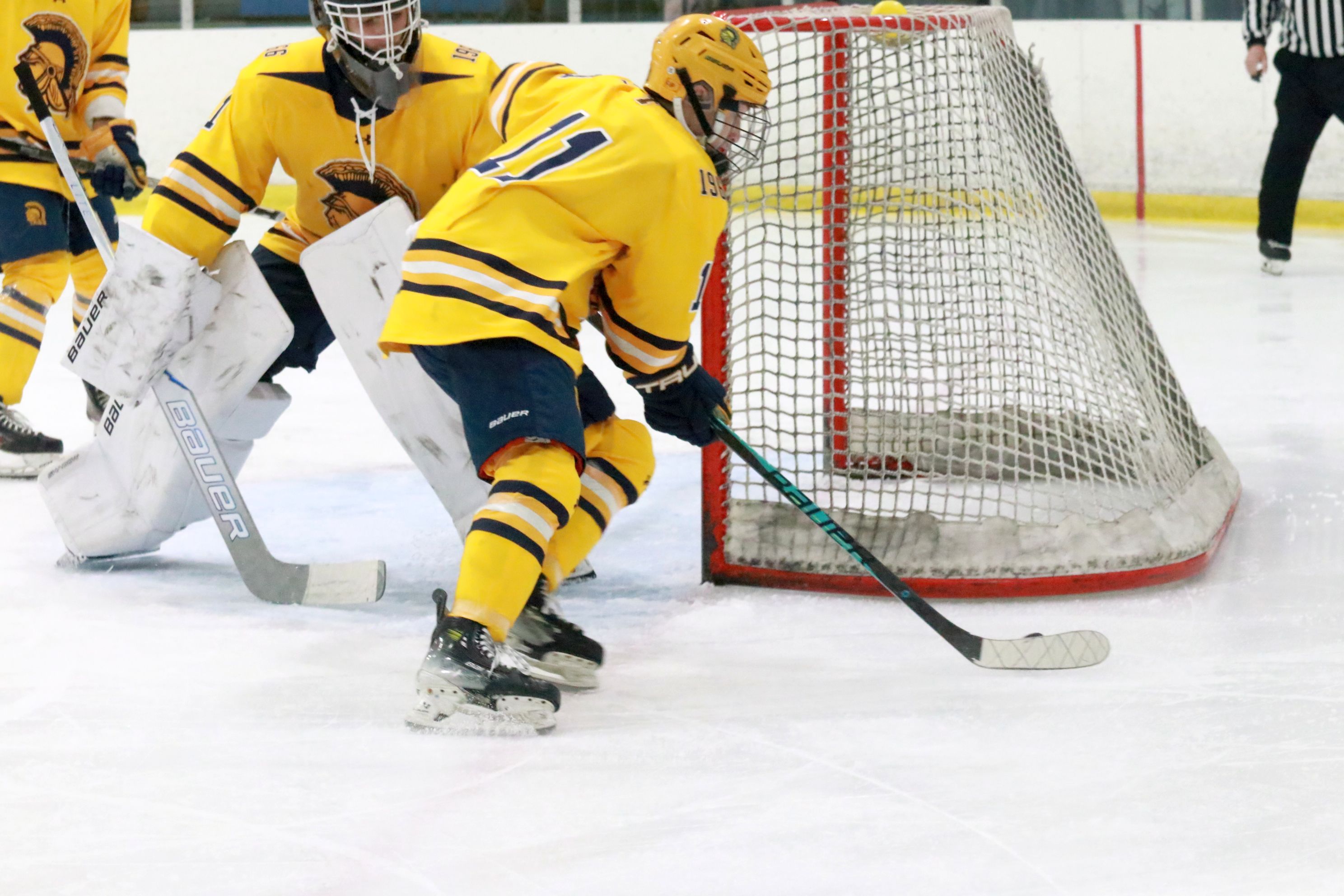 The Trenton ice hockey team was handed a 5-2 loss...