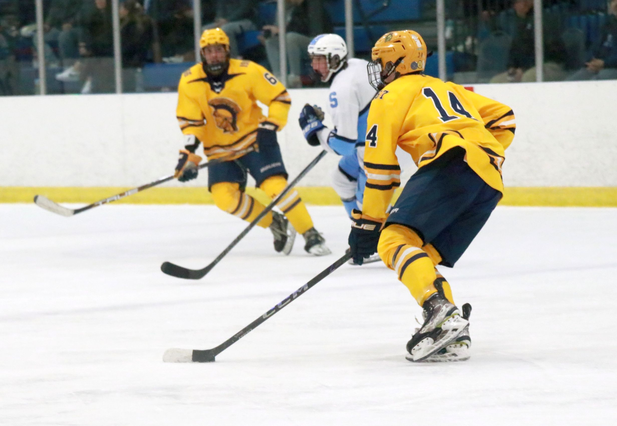 The Trenton ice hockey team was handed a 5-2 loss...