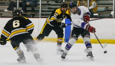 Doumas’ hat trick powers RFH past Hunterdon Central - Boys ice hockey recap