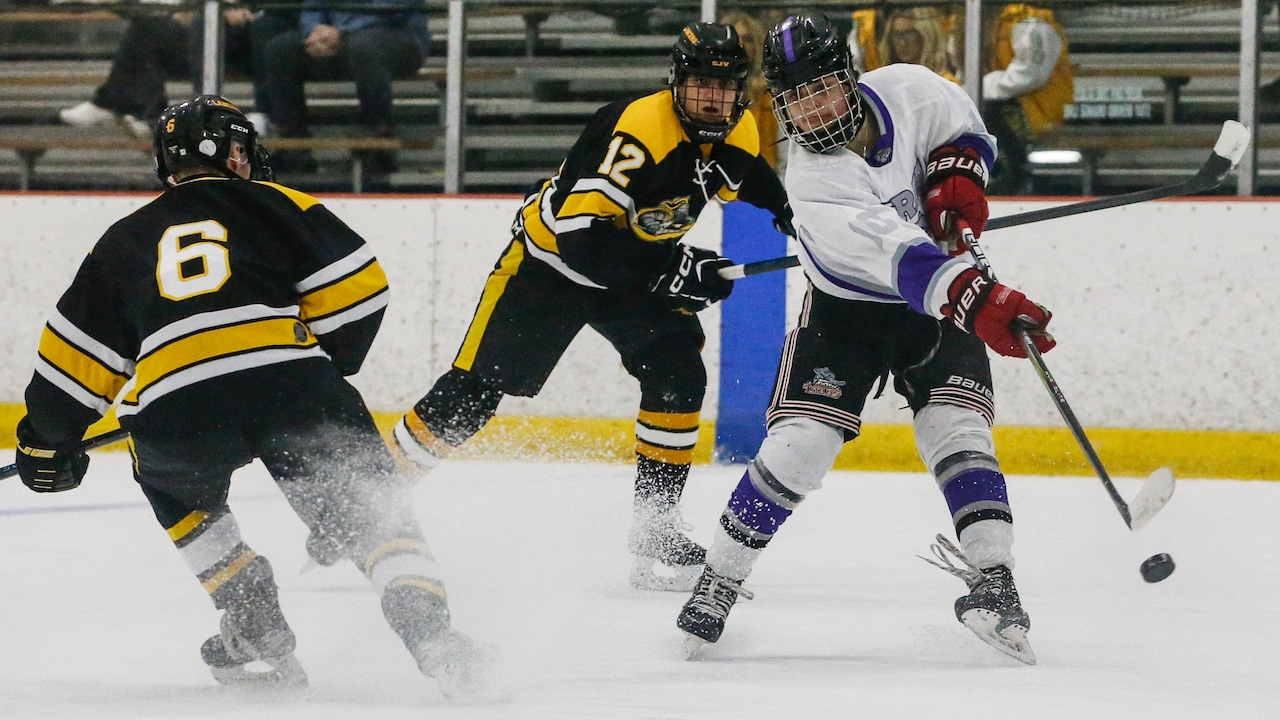 Doumas’ hat trick powers RFH past Hunterdon Central - Boys ice hockey recap