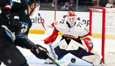 Utah Mammoth, Florida Panthers....