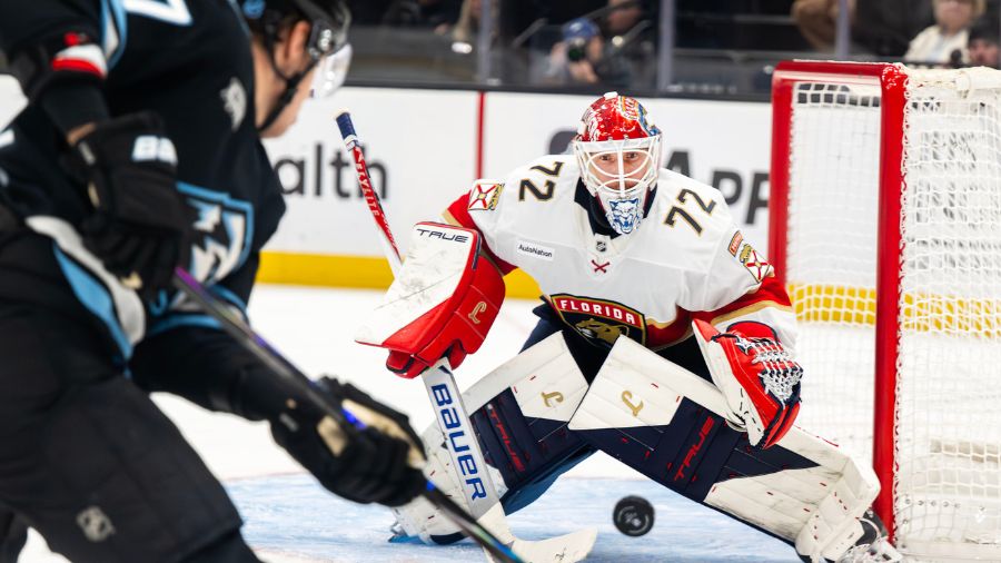 Utah Mammoth, Florida Panthers....