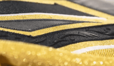 Vegas Golden Knights Look to Clinch Playoff Berth Tonight