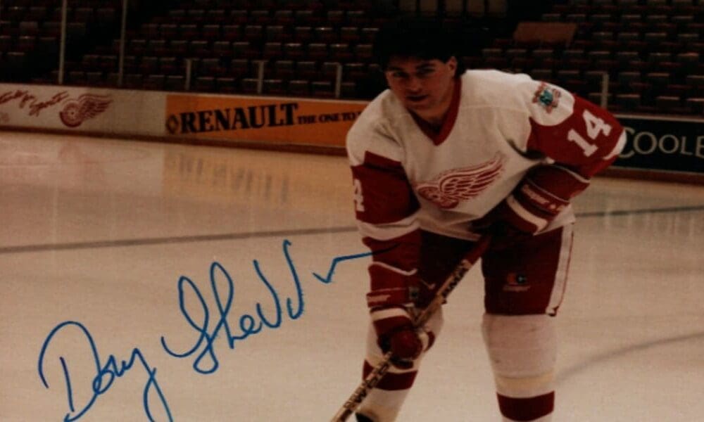 Doug Shedden, Red Wings