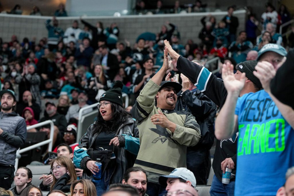Ice Hockey fans at a game standing and cheering.