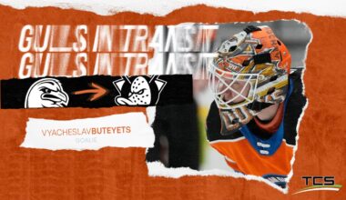 Anaheim Ducks Recall Vyacheslav Buteyets From San Diego