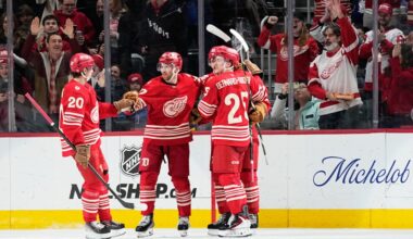Red Wings showing ability to come back, secure important victories – Macomb Daily